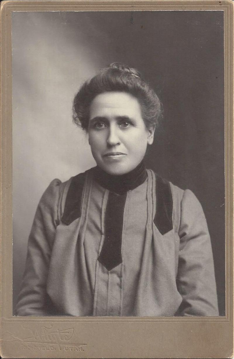Sarah Hannah Cook (1860 - 1926) Profile